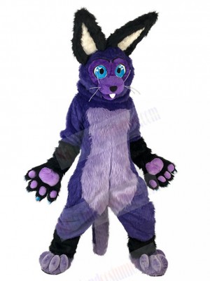 Rabbit mascot costume