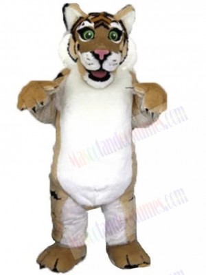 Tiger mascot costume