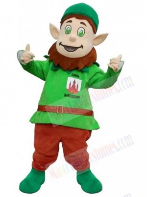 Leprechaun mascot costume