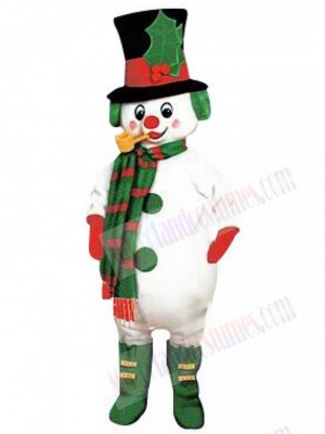 Elf mascot costume