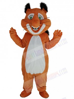 Squirrel mascot costume