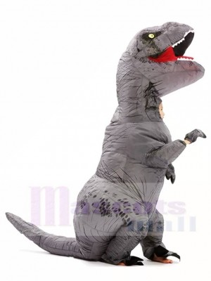 Grey Gray T-REX Dinosaur Inflatable Halloween Christmas Costumes for Kids