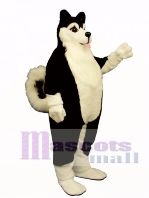 Cute Fat Husky Dog Mascot Costume