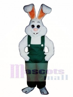 Easter Bunny Rabbit Boy Mascot Costume