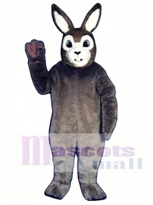 Easter J.R. Bunny Rabbit Mascot Costume