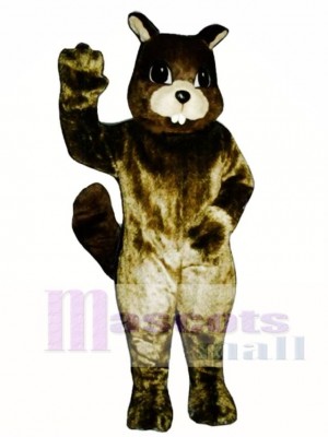 Squirrel Mascot Costume