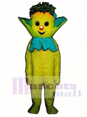 Salat Kopf Maskottchen Gemüse Kostüm