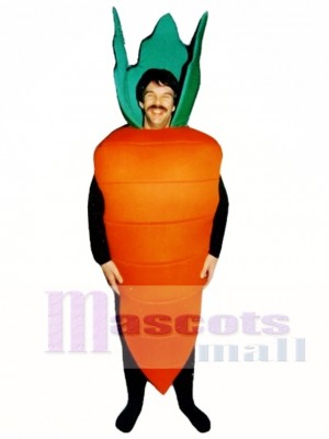 Carrot Mascot Costume