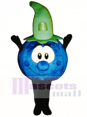 Bobby Blueberry Mascot Costume