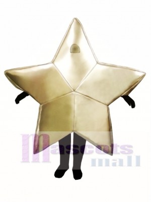 Star Christmas Mascot Costume