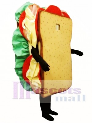 Sandwich Mascot Costume