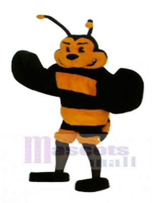 Bee Mascot Costume