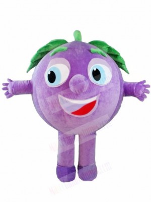 Purple Grapes Mascot Costumes Fruit Plant