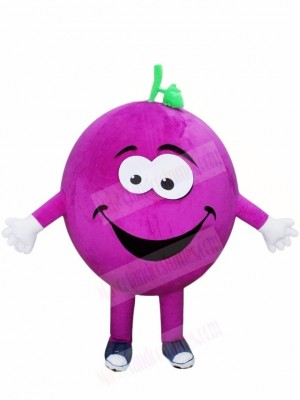 Lila Trauben Maskottchen Kostüme Obst Pflanze