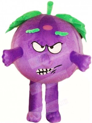 Angry Eggplant Mascot Costumes Vegetable Plant