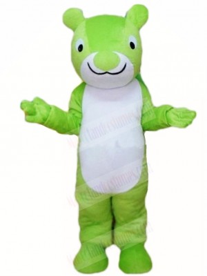 Green Squirrel Mascot Costumes Animal 