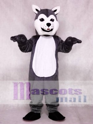 Gray Husky Dog Mascot Costumes Animal