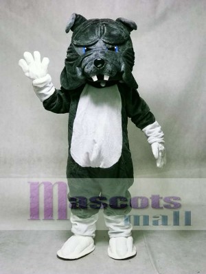 Gray Bulldog Dog with White Belly Mascot Costume Animal