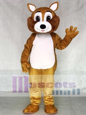 Adult Squirrel Mascot Costume with White Belly