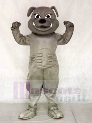 Grey Bulldog Mascot Costumes Animal 