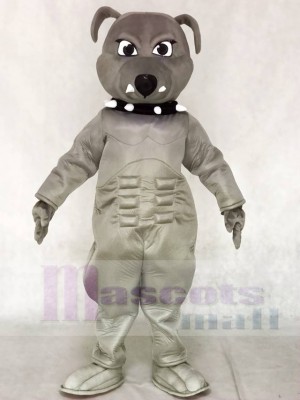 Grey Bulldog Mascot Costumes Animal 