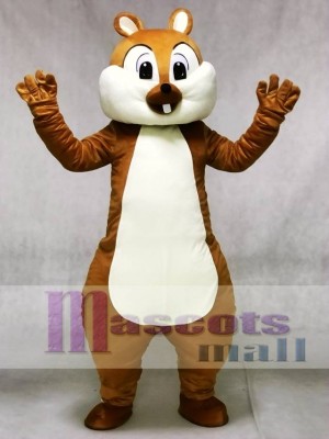 Cute Squirrel Mascot Costumes Forest Animal