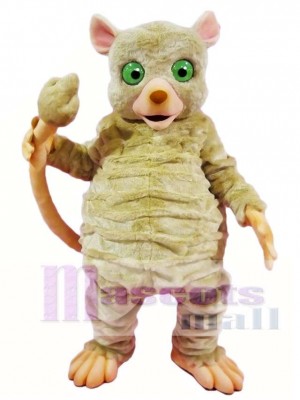 Gray Mouse Lemur Monkey Mascot Costumes Animal