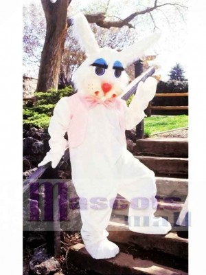 Peter Rabbit Bunny Mascot Costume