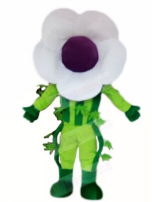 White Flower Mascot Costumes Plant