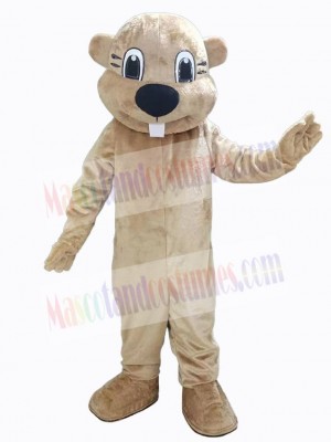 Beaver mascot costume