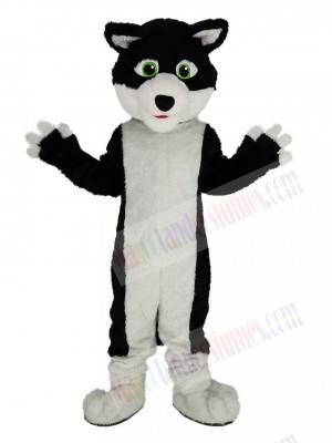 Black and White Border Collie Dog with Green Eyes Mascot Costume