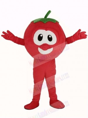 VeggieTales Character Tomato Bob Mascot Costume Cartoon