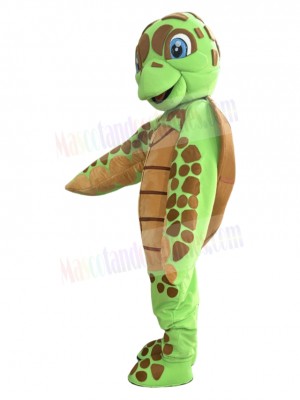 Turtle mascot costume