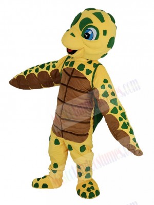 Turtle mascot costume