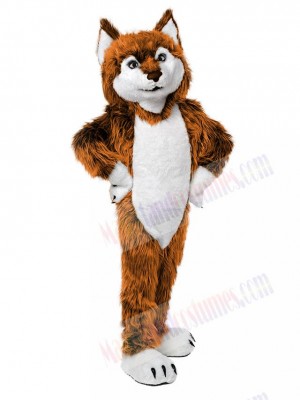 Wolf mascot costume
