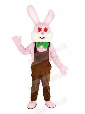 Easter Pink Robbie Rabbit Mascot Costume