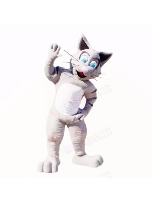 Friendly Gray Cat Mascot Costumes Cartoon