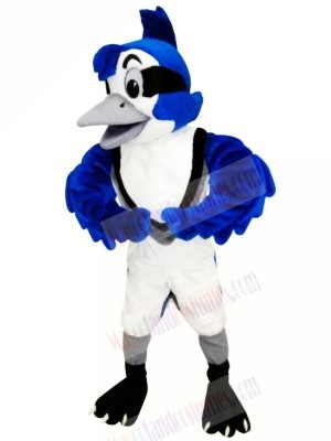 Cute Blue Jay Mascot Costumes Animal