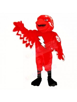 St John Thunderbird Mascot Costumes School