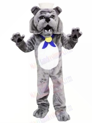 Grey Bulldog Mascot Costumes Adult