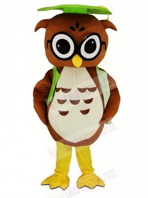 Brown Owl with Green Graduation Cap Mascot Costume Animal