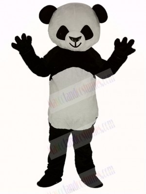 Cute Shorthair Panda Mascot Costume