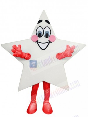 Star mascot costume