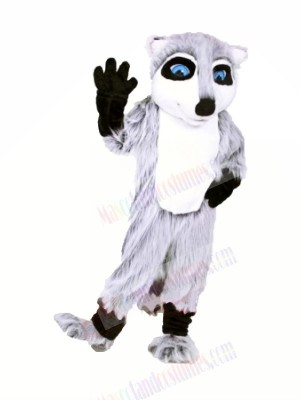 Quality Raccoon Mascot Costume Cartoon