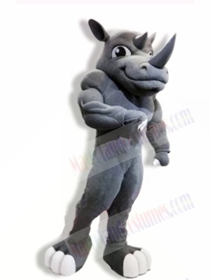 Power Rhino Mascot Costumes