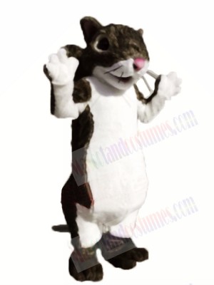 Cute Lightweight Squirrel Mascot Costumes 