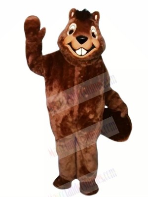 Smiling Furry Beaver Mascot Costumes Cartoon