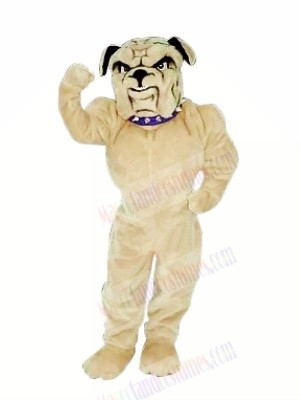 Realistic Bulldog Mascot Costumes Cartoon