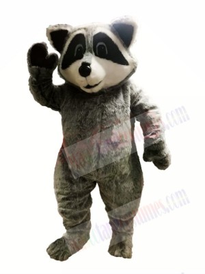 Cute Lightweight Raccoon Mascot Costumes