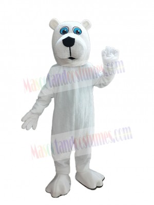 Bear mascot costume